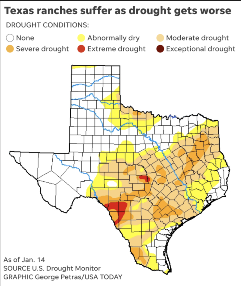 More Rains Needed for Texas Ranchers to Avoid a Drought. t2 Ranches